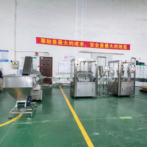 Máquina de Llenado de Botellas de Plástico, Máquina Automática de Pesaje de Líquidos, Máquina de Llenado de Agroquímicos, Línea de Llenado de Líquidos Cosméticos - Product Image 2