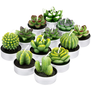 <span class=keywords><strong>Kit</strong></span> de bougies de plantes de Cactus succulentes décoratives, mignonnes bougies sans fumée, parfaites pour le Festival, les accessoires de mariage, la fête à la <span class=keywords><strong>maison</strong></span> - Product Image 1
