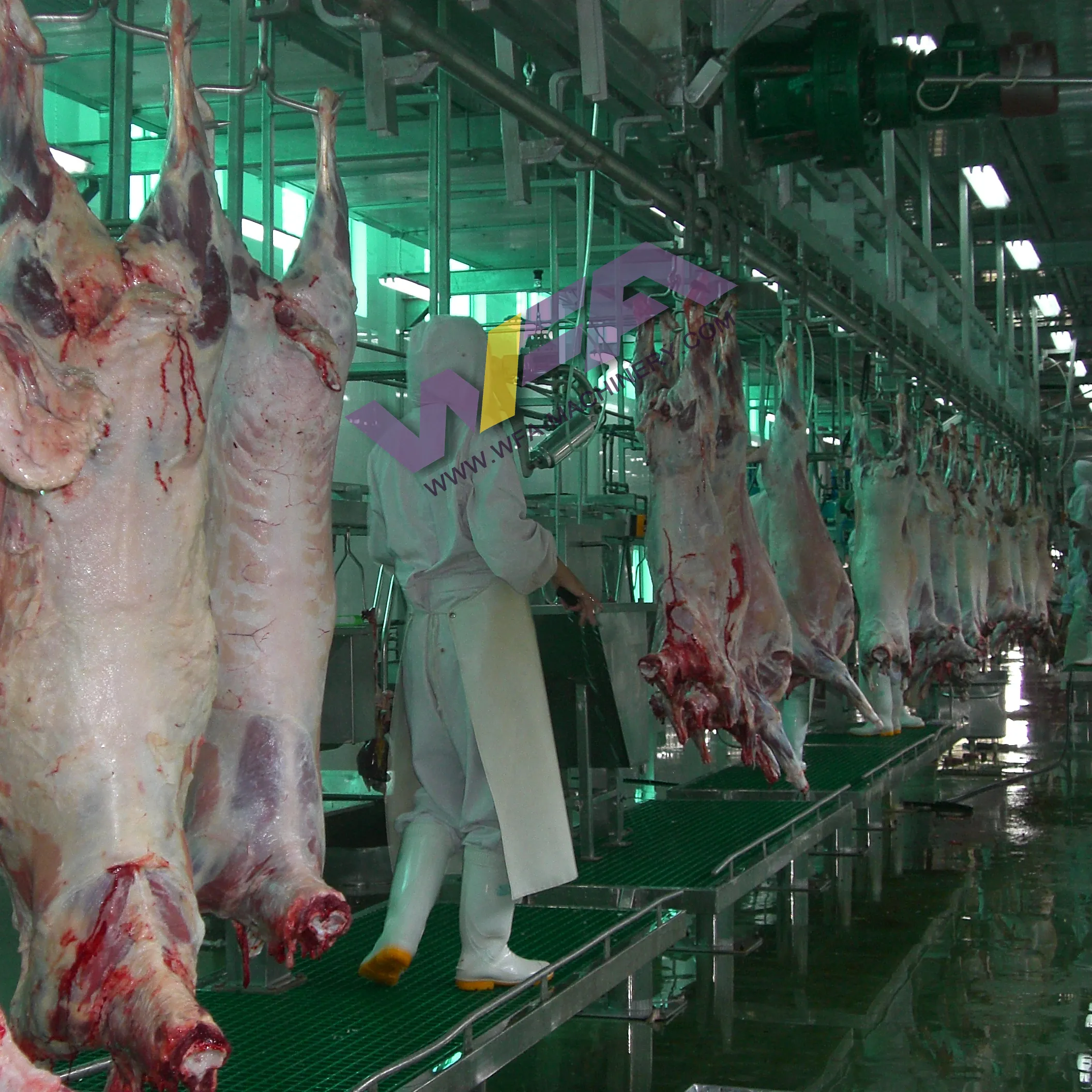 Turnkey Project Sheep Abattoir Goat Slaughtering Equipment Carcass Mutton Convey Rail For Slaughterhouse Machine