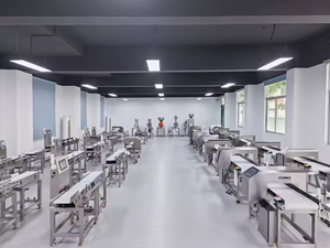 Báscula Electrónica de Pesaje para Pescado Congelado con Cinta Transportadora, Clasificación Automática de Peso, Acero Inoxidable 304, OEM/ODM - Product Image 4