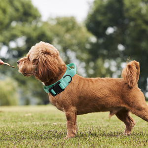 Dog <b>Collars</b> Reflective Small Dog Tactical Neck Harness <b>Pet</b> Supplies - Product Image 2
