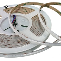 Bande lumineuse LED néon USB Epistar SK6812 haute luminosité, contrôle multi-modes, durée de vie de 50000 heures, DC 12V, IP22, CRI80