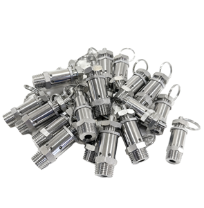 Válvula de Ventilación y Alivio de Presión Manual de Acero Inoxidable Sanitario 304 con Conexión NPT de 1/4'' - Product Image 1