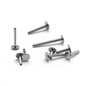 Implantaatkwaliteit G23 Titanium Niet-Schroefdraad <span class=keywords><strong>Labret</strong></span> Duwpen Geperforeerde Sieraden Lip Ring Alleen In <span class=keywords><strong>Labret</strong></span> Paal - Product Image 1