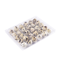 Barquettes en plastique PET recyclé pour œufs de caille, 12 ou 24 alvéoles, emballage pour œufs de caille, boîte à clapet, plateau à 12 ou 24 trous