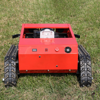 Tondeuse à gazon RC 550 mm à essence, prix usine, vente chaude, pour terrains agricoles