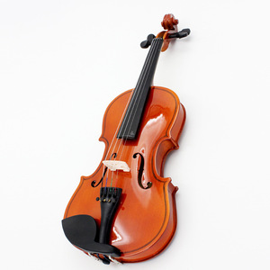 Violons en gros, lots mixtes, pour l'entraînement des enfants et des débutants, adaptés aux magasins de musique et aux grossistes mondiaux - Product Image 3