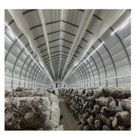 Kit de Serre Tunnel pour la Culture de Champignons, Meilleur Rapport Qualité-Prix, Résistant aux Intempéries, pour la Culture de Champignons Comestibles