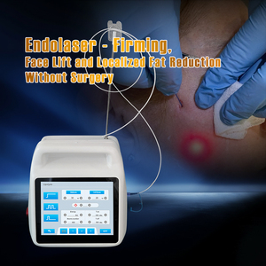 Láser Endolift Portátil de 980nm de Alta Potencia para Terapia Física, Eliminación de Hongos <span class=keywords><strong>en</strong></span> las Uñas, Máquina Láser Endolift - Product Image 6