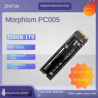 ZhiTai Changjiang PC005 Solid State Drive 256G Notebook Desktop Komputer M.2 HDD Untuk Penggunaan PC