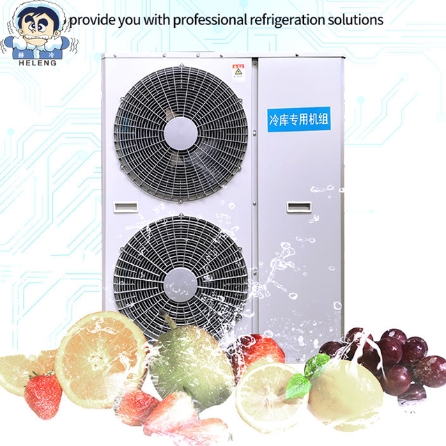 Low Temperature All-in-one Machine Refrigeration Unit Integrated Freezer Unit for Blast Freezer and Cold Storage Warehouse