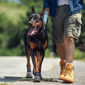 Scarpe e stivali sportivi da esterno per animali domestici, antiscivolo e Non rimovibili, calze <span class=keywords><strong>con</strong></span> suola morbida elastica a righe ad alta elasticità a righe bioniche - Product Image 5