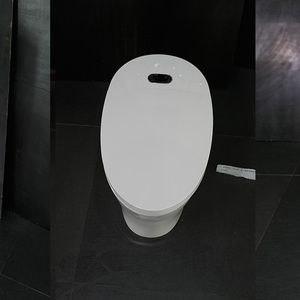 Нано-биде для умного туалета - Product Image 6