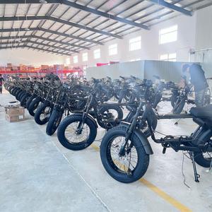 Vélo électrique à longue portée avec pneus larges de 20 pouces, vélo de ville <span class=keywords><strong>pour</strong></span> les longues distances, vélo électrique sans balais - Product Image 6