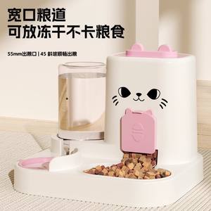 Gamelle pour chat et chien, distributeur automatique de nourriture pour animaux de compagnie, double gamelle intégrée pour l'eau potable - Product Image 4