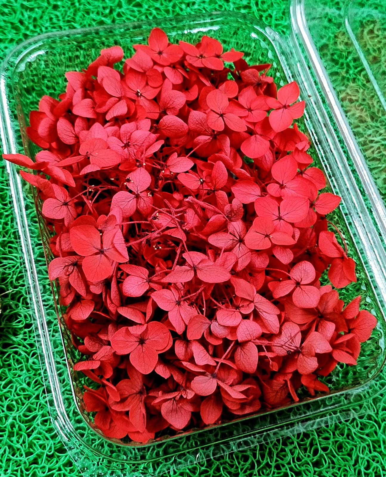 Rouge