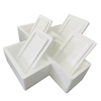 Boîte d'Emballage Personnalisée en Mousse EPS Polystyrène pour Transport Alimentaire Froid, Glace Sèche, Médical, Fruits, Poissons, Légumes et Viandes