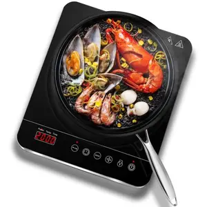 Plaque de cuisson à Induction Portable Professionnel 2000 W