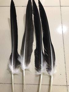 Plumes d'aigle naturelles noires de <span class=keywords><strong>grande</strong></span> taille, de haute qualité, matériau brut pour le pliage d'arbalètes, ailettes de couteau, garnitures de bijoux DIY - Product Image 1