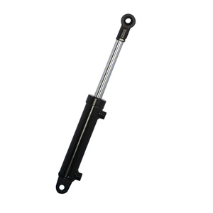 Brick Machinery and <strong>Forklift</strong> 3 Ton Standard HSG Earring <strong>Hydraulic</strong> <strong>Cylinder</strong> Piston Rod Multiple Colors Accept Customize - Product Image 1