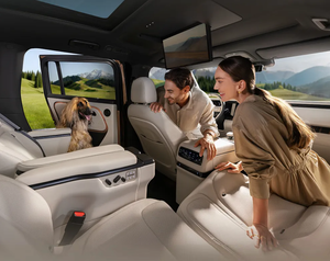 <span class=keywords><strong>ROX</strong></span> 01 2025, SUV di Lusso Grande, Polestone 01, Doppio Motore 4WD, Autonomia Estesa, 5 Porte, 6 Posti, Batteria al Litio, Auto Nuova VIP, Prezzo di Stock - Product Image 3