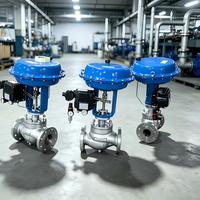 Venta Directa de Válvula de Control 316SS con Actuador Neumático de Diafragma