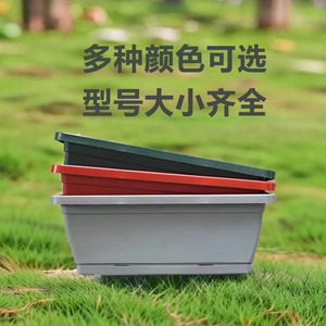 Hollen <b>Pot</b> <b>Rectangular</b> Plastic Planting Trough With Drainage Hole For Home <b>Flower</b> And Vegetable Gardening - Product Image 5