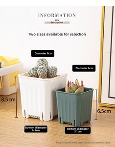 Квадратный прочный утолщенный пластиковый горшок P404 для рассады суккулентов и кактусов - Product Image 3