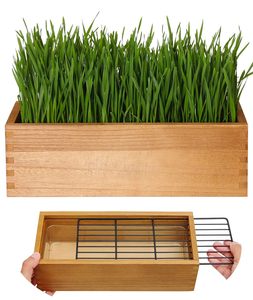 Indoor Grass Grow Plant <b>Garden</b> Kit Aged Yellow Removable Plastic <b>Liner</b> Grid Potting Soil Disks Set for Pet Growing - Product Image 1