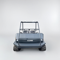 Véhicule 4 places électrique VTT/utv Dune alimenté par batterie Buggy de plage électrique Prix Véhicule électrique sur chenilles Réservoir pour parc à thème