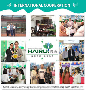 Oleorresina de cúrcuma de alta calidad 100% Extracto de hierbas naturales Muestras gratis Oleorresina de cúrcuma - Product Image 5