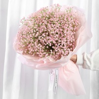 Simulation ciel étoilé Halloween mariage lot Photo accessoires ornements fleur décoration Arrangement plastique fleur sèche