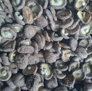 批发散装即食脱水健康零食 - 非油炸、低温脱水干香菇。 - Product Image 4