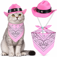 Ensemble chapeau de cowboy et bandana ajustables pour chats et petits chiens, costume western, accessoires pour Halloween et Noël