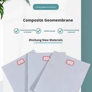 Tứ Xuyên tùy chỉnh HDPE một màng Composite <span class=keywords><strong>geomembrane</strong></span> hai vải chống thấm ao cá Biogas AO bờ sông hiện đại 5 - Product Image 3