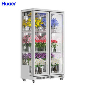 Refrigeración por aire Flor de corte fresco <span class=keywords><strong>Floreria</strong></span> 2 Frigoríficos de puerta de vidrio para exteriores de doble puerta con pantalla de temperatura única a la venta - Product Image 1