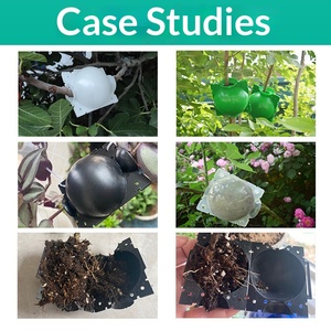 DaringFish Esfera de Propagación Moderna de Plástico de Alta Presión para Injerto de Plantas, Enraizamiento y Propagación por Aire, Propagador Hortícola - Product Image 4