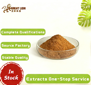 ขายส่งสารสกัดจากซีบัคธอร์น ฟลาโวนอยด์ 10% ผงซีบัคธอร์นจากธรรมชาติ วัตถุดิบเพื่อสุขภาพ มีสต็อกพร้อมจำหน่าย รับผลิตตามความต้องการ - Product Image 2