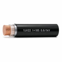 Câble d'alimentation blindé YJV22 1 conducteur 1*185 0,6/1kV en cuivre isolé XLPE avec bande d'acier blindée et gaine PVC type NH