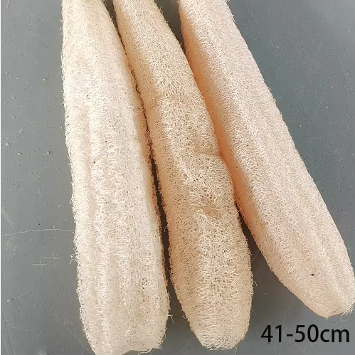 40-50CM