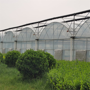 Custo Efetivo Multispan Greenhouse Top Quality Melhor preço Tamanho Grande Personalizado Agricultura Estufa Hot Selling Greenhouse - Product Image 2