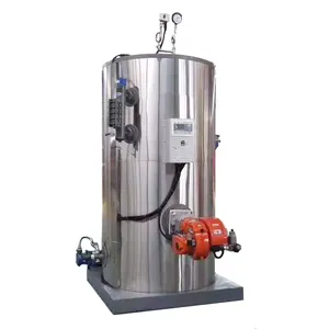 Vertical Boiler CNG Compress Natural Gas Fired Steam Boiler with Best Price