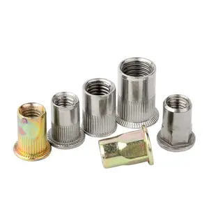 New High-End Listing Made China Superior Quality Countersunk Blind Rivet Nut