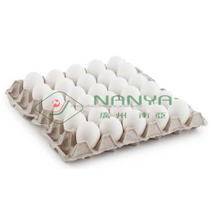 bandeja de empaque de huevo <span class=keywords><strong>pulpa</strong></span> de papel planta de procesamiento de huevo línea de producción - Product Image 2
