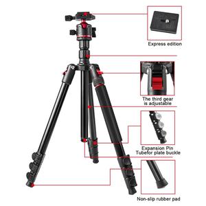 Portable photographe équipement caméra trépied affichage monopode caméra Q-173 support extérieur voyage caméra vidéo trépied support 173cm - Product Image 5