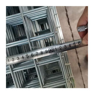 Pannello in rete metallica saldata 1x2, - Product Image 6