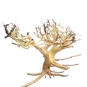 Décorations d'aquarium en bois flotté naturel de qualité supérieure, forme irrégulière, utilisation durable, fabriqué au Vietnam - Product Image 1