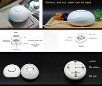 Diffuseur d'huiles essentielles, purificateur d'air, diffuseur de parfum, machine de remplissage, atomiseur d'arômes pour voiture
