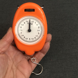 Spring Scale 10Kg Mechanical Weight Measuring Luggage Scale Plastic Manual Accuracy 10G - Product Image 1