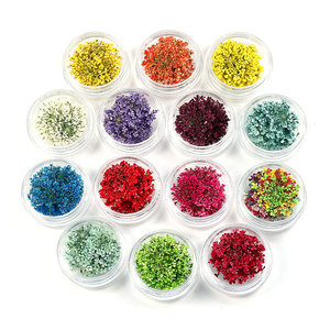 Venta al por mayor natural seco pequeño Marco de <span class=keywords><strong>flores</strong></span> prensadas DIY secado Mini <span class=keywords><strong>flores</strong></span> prensadas <span class=keywords><strong>para</strong></span> COLLAR COLGANTE fabricación de velas - Product Image 1